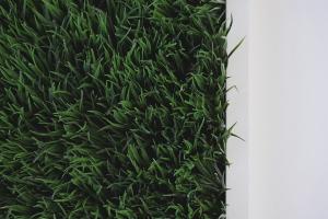 草坪施肥指南:什么時候施,怎么施,施什么肥?